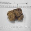Pulverized Gallstone Remains after 30 days on Pulverexx Protocol™