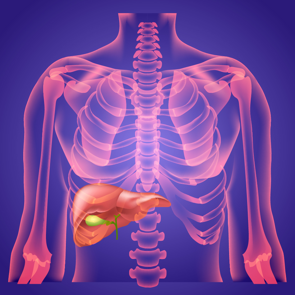 Gallbladder Gallbladder Attack & Gallbladder Pain Treatment