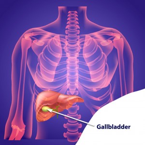Gallbladder