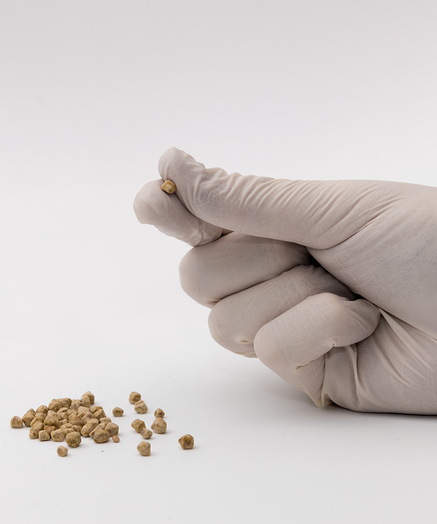 Think You Have Gallstones? Learn To Recognize These Gallbladder Symptoms!