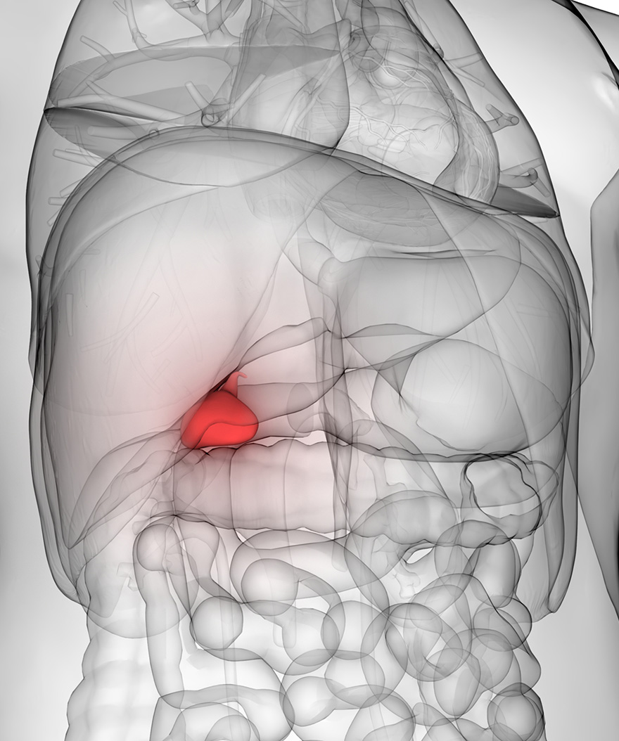 How To Know If It Is Gallbladder Pain